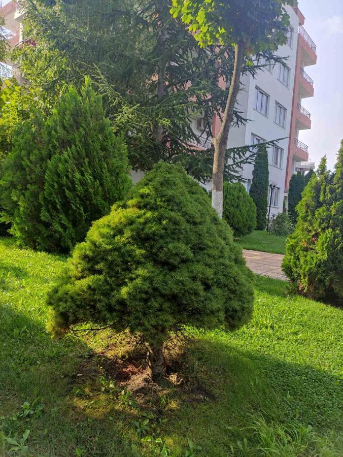 Ravda Sea View Apartment Exterior photo